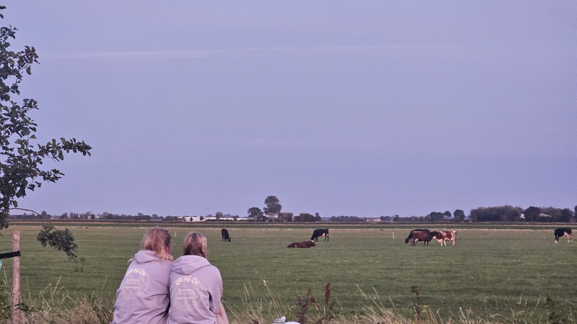 Zilt bij Zee — photo 7